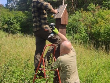 Letnie działania w Przedborskim Parku Krajobrazowym 2025, 